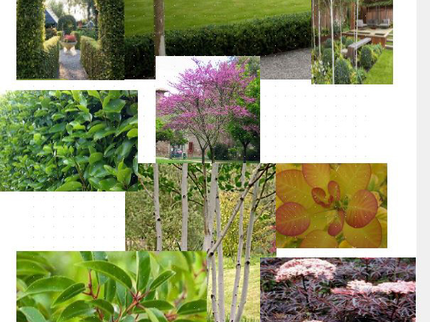 Planting Design