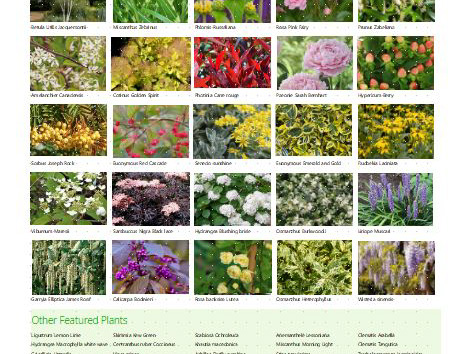 Planting Design