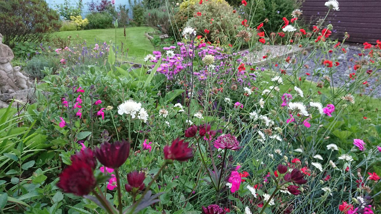 Planting Design