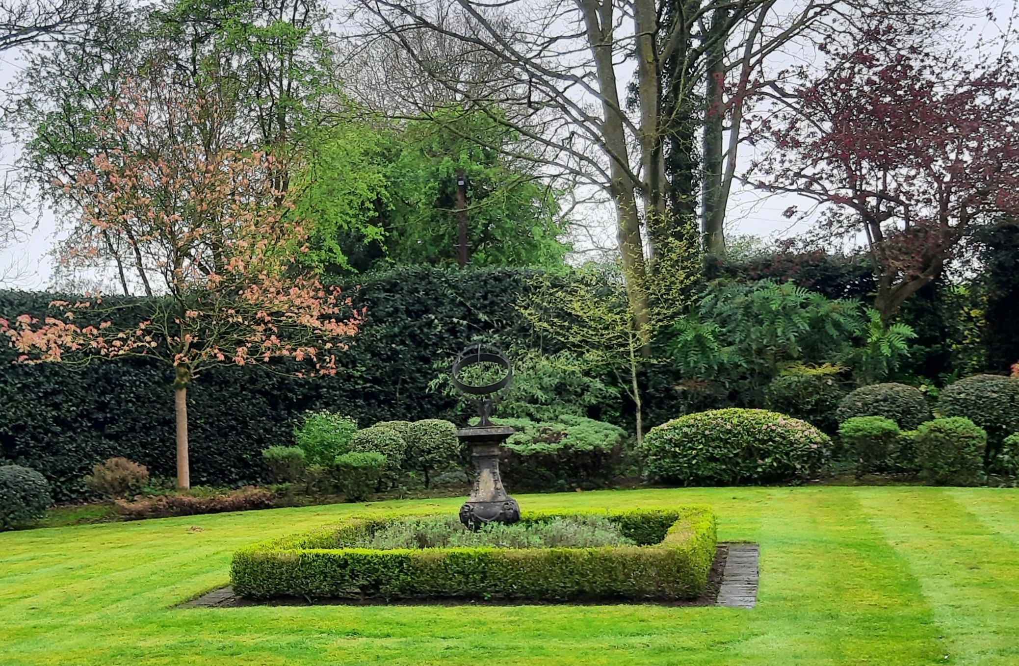 Hedge Maintenance