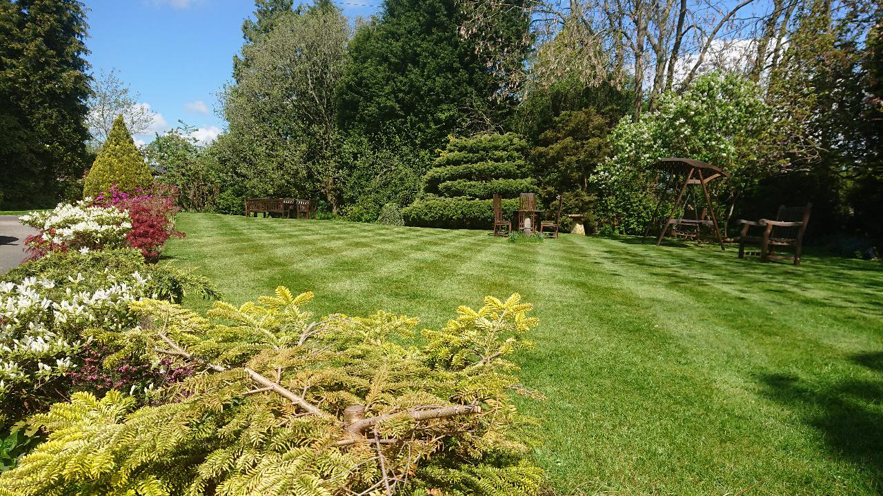 Lawns